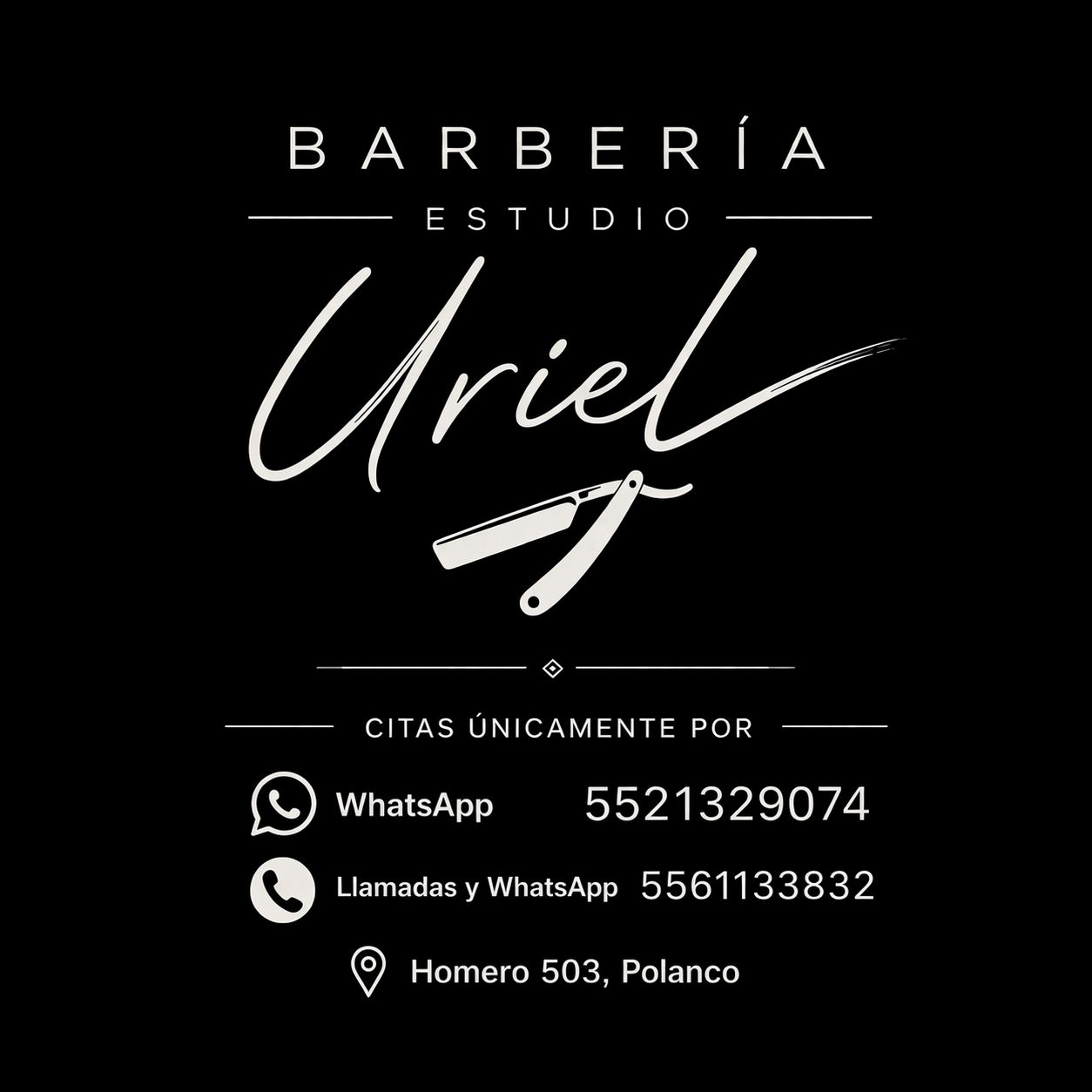 Álbum de cortes Barbería Estudio Uriel 31